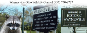 waynesville ohio wildlife control