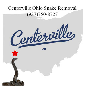 centerville ohio snake removal