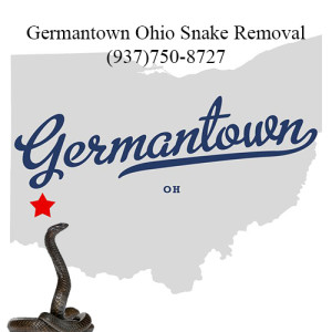 germantown ohio snake removal