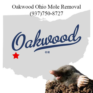 oakwood ohio mole removal