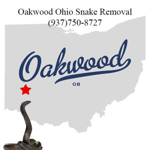 oakwood ohio snake removal