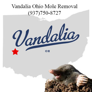 vandalia ohio mole removal