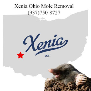 xenia ohio mole removal