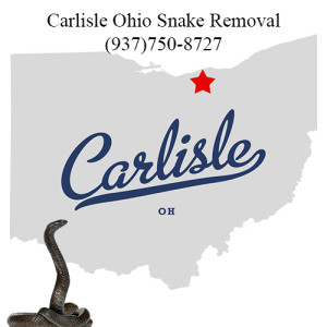 carlisle ohio snake removal