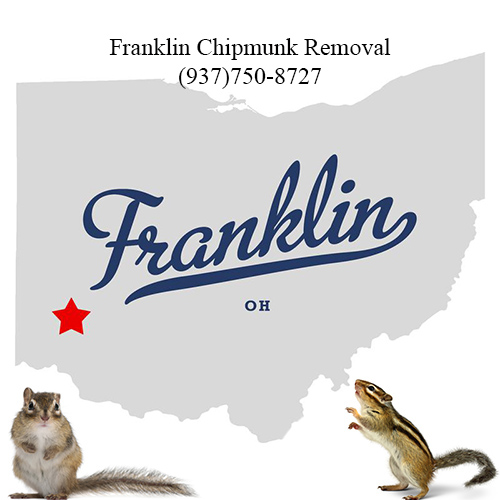 franklin chipmunk removal 763-307-4384