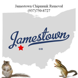 jamestown chipmunk removal 763-307-4384